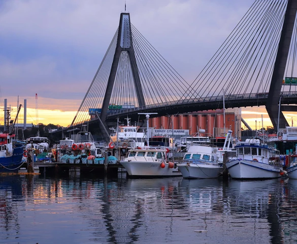 Photo Travel: Chợ cá Sydney, "thiên đường" hải sản tươi sống Nam bán cầu