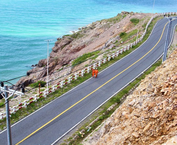 Đặc khu duy nhất của TP. HCM sẽ dùng 2.000m2 rừng xây 9 tuyến đường