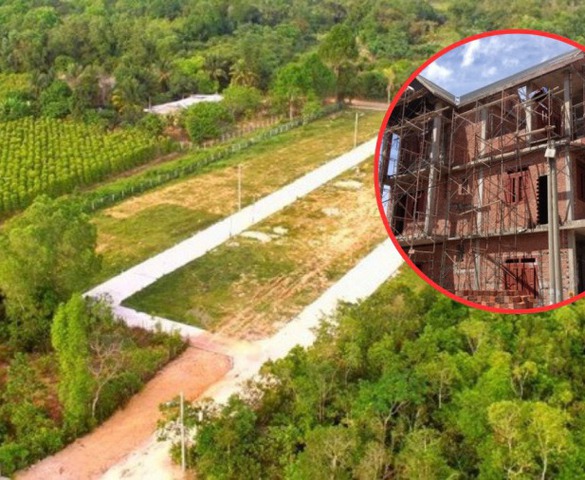 Kể từ nay, đáp ứng điều kiện này mới được phép chuyển đổi đất trồng cây lâu năm sang đất ở