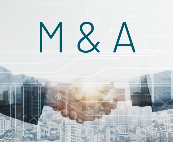 Làn sóng M&A "cứu cánh" dòng tiền, doanh nghiệp bất động sản ghi nhận những khoản lãi đột biến