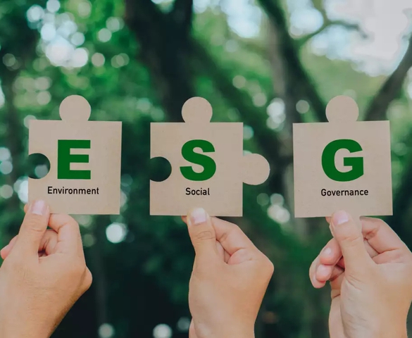 Thúc đẩy thực hành ESG: Nền móng cho thị trường vốn xanh Việt Nam