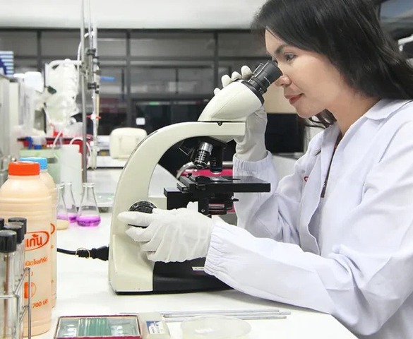 Thêm một 'ông lớn' Thái Lan chuẩn bị xây nhà máy đầu tiên tại Việt Nam