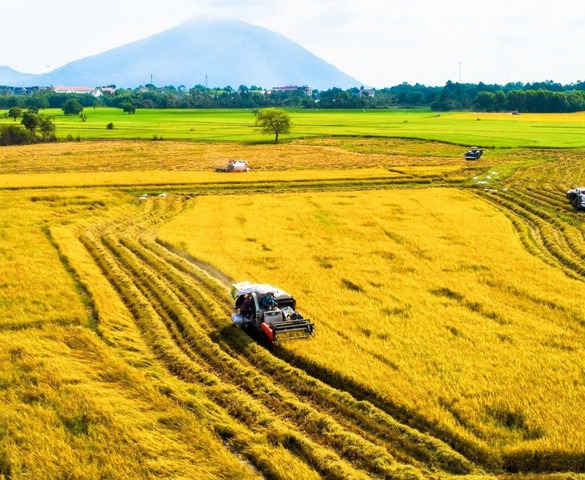 NÓNG: Đề xuất thêm 3 trường hợp Nhà nước thu hồi đất