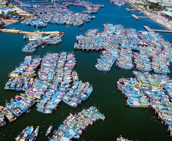 Khánh thành dự án nâng cấp cảng cá lớn nhất miền Trung, tiếp nhận 300 tàu/ngày