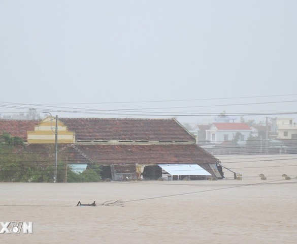 VNREA kêu gọi ủng hộ đồng bào miền Trung, Tây Nguyên bị thiệt hại do mưa lũ
