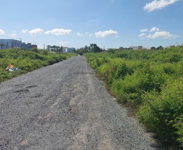 Cà Mau: Thu hồi đất do doanh nghiệp tự nguyện trả lại đất