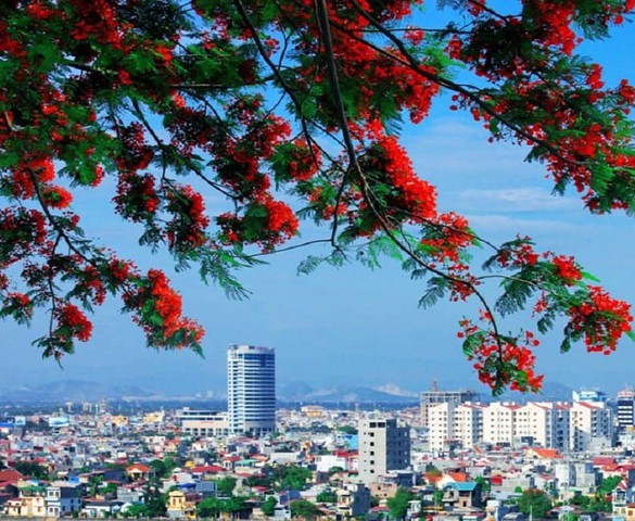 Dự thảo bảng giá đất Hải Phòng 2026: Giá tăng mạnh