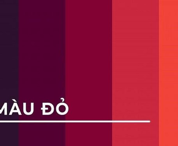 Mệnh Mộc hợp màu đỏ không? Giải đáp từ chuyên gia phong thủy