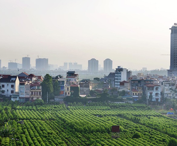 Từ giờ tại Hà Nội, tự ý chuyển đất trồng lúa sang loại đất khác sẽ phải đối diện hậu quả