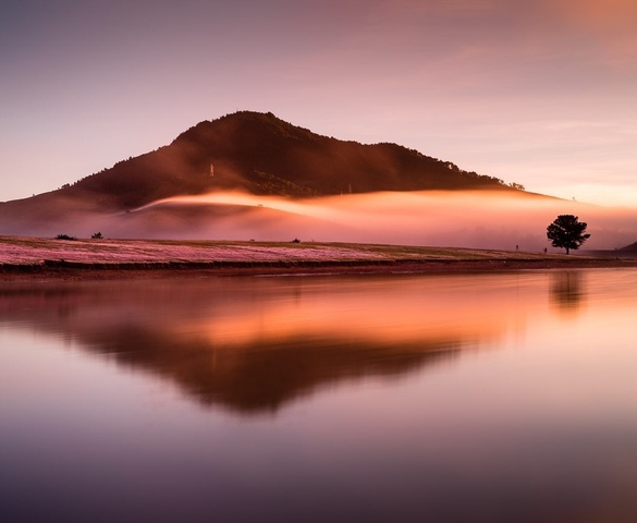 Tập đoàn TH tìm hiểu cơ hội đầu tư dự án du lịch gần 4.000ha tại Lâm Đồng