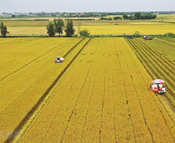 Từ 1/1/2026, khi chuyển đổi đất nông nghiệp sang đất ở, người dân sẽ đóng tiền ra sao?