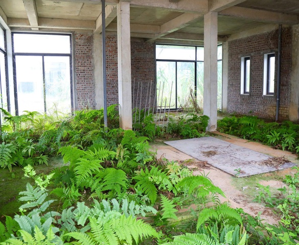 Cỏ dại mọc trong biệt thự, nhà phố không người tại khu đô thị Legacy Hill Hòa Bình