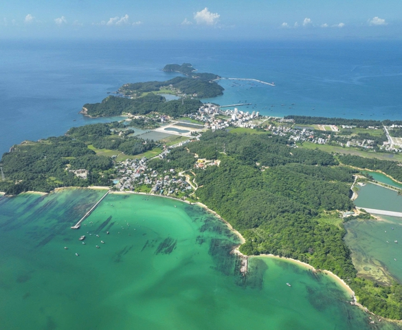 Quảng Ninh: Thành lập Khu bảo tồn biển Cô Tô - Đảo Trần