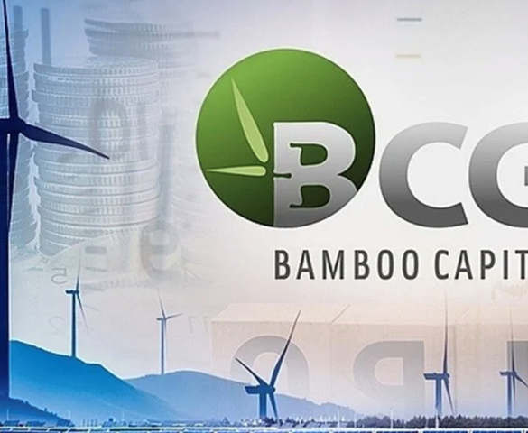 Chủ tịch BCG Land làm Chủ tịch HĐQT Bamboo Capital
