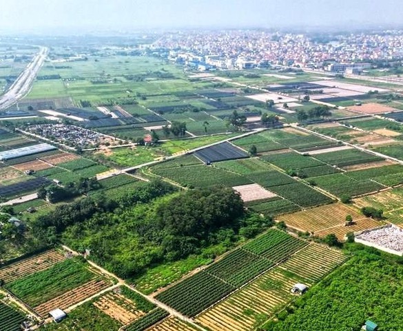 Đất đấu giá tỉnh vùng ven có giá trúng cao hơn các huyện ở Hà Nội, vì sao?