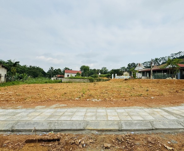 Đất nền "soán ngôi" chung cư, dẫn dắt thị trường bất động sản quý I/2025