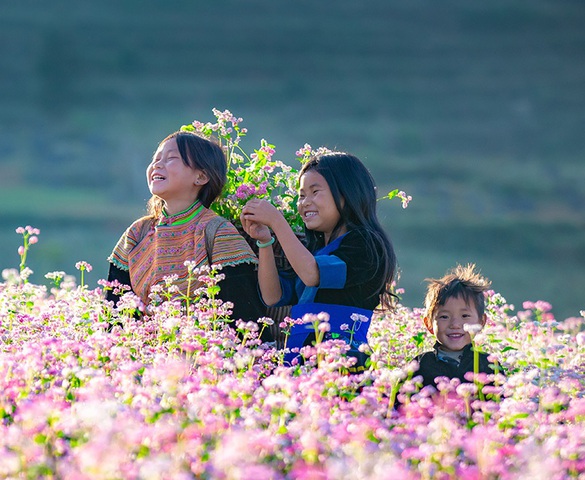 Hành trình bản sắc: Top 5 điểm đến miền Bắc không nên bỏ lỡ cho trải nghiệm văn hóa bản địa