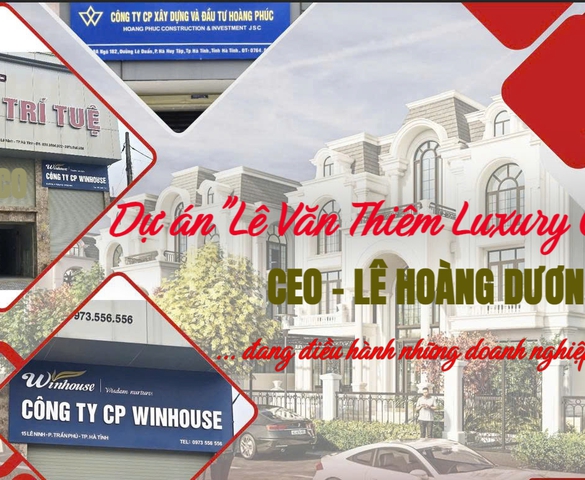 CEO dự án "Lê Văn Thiêm Luxury City" điều hành những doanh nghiệp nào?