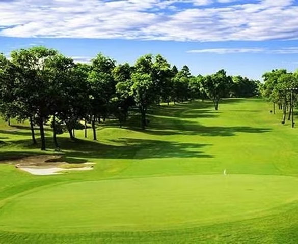 'Vựa lúa miền Bắc' tìm nhà đầu tư cho sân golf 67ha hơn 1.200 tỷ đồng