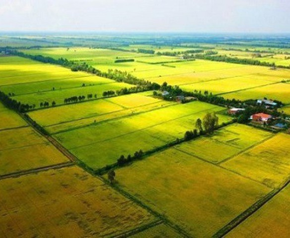 5 trường hợp chuyển mục đích sử dụng đất không cần xin phép theo luật mới nhất