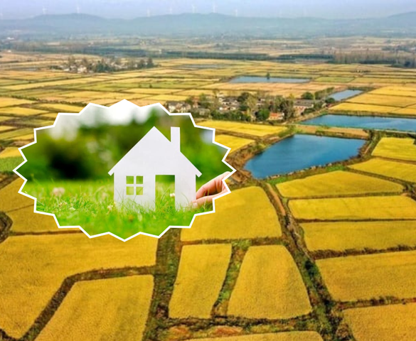Đề xuất tăng giá đất nông nghiệp bằng 60-70% đất thổ cư: Giảm gánh nặng hay tăng thêm hệ lụy?