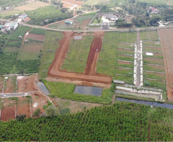 Lâm Đồng: Siết chặt quản lý bất động sản, ngăn chặn "cò đất" gây nhiễu loạn thị trường