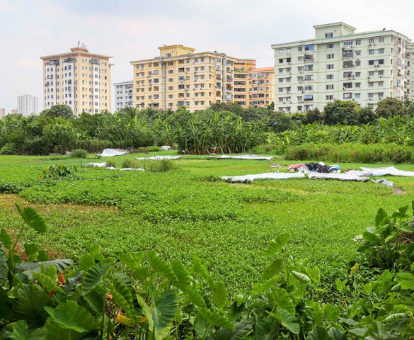 Hà Nội: Dự án Khu đô thị Trũng Kênh vẫn nằm "trên giấy" gần 2 thập kỷ