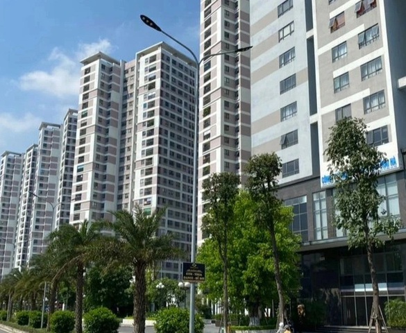 Chuyên gia chỉ ra lý do có thể khiến giá chung cư giảm