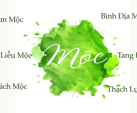 Tùng Bách Mộc là gì? Tại sao đây là mệnh Mộc mạnh nhất?