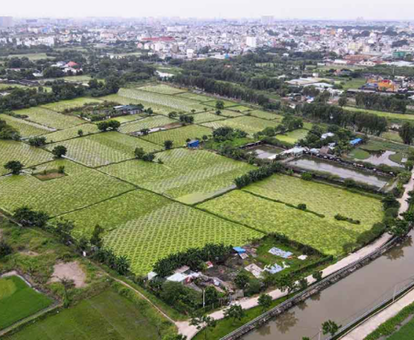 Công viên 25 năm không một bóng người lớn thứ 2 TP. HCM, quy mô 150ha gấp 9 lần Thảo Cầm Viên đón tin vui