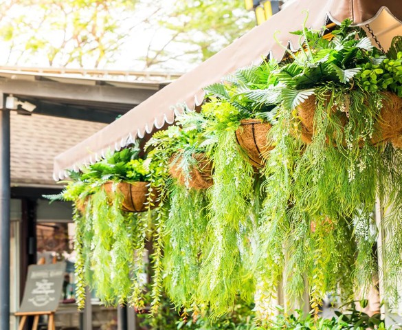 Mách bạn bí quyết trang trí cây treo ban công đẹp và rẻ
