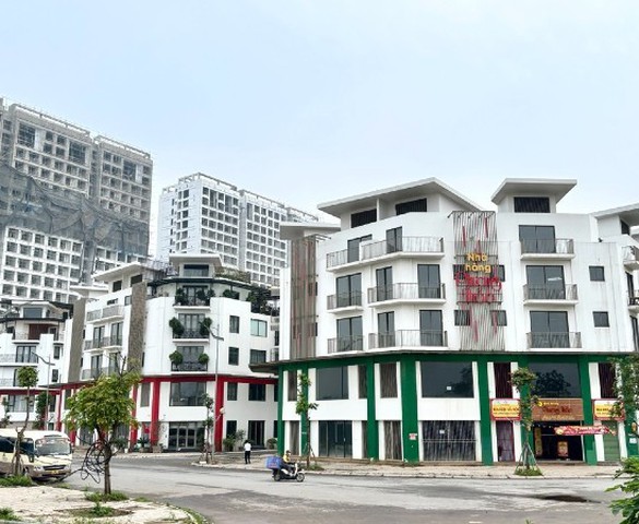 2025 là “năm thanh lọc” dữ liệu bất động sản