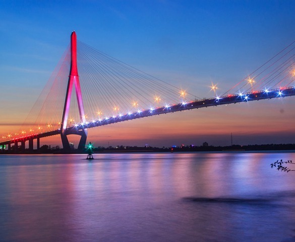 Chốt thời điểm khởi công cầu dây văng hơn 17km kết nối 2 tỉnh Đồng bằng sông Cửu Long