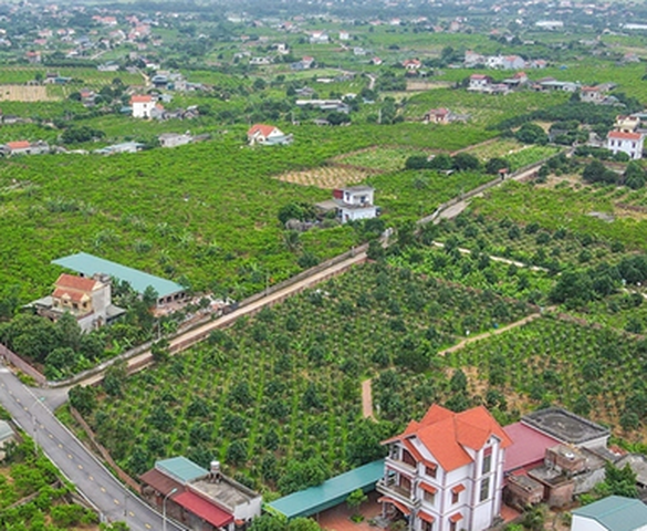 Tháo gỡ vướng mắc các dự án đất đai và triển khai Chương trình mục tiêu quốc gia