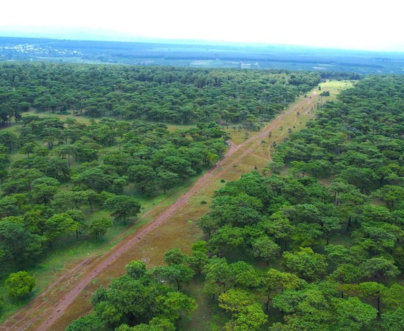 Doanh nghiệp liên quan FLC được chấp thuận đầu tư dự án sân golf hơn 1.000 tỷ tại tỉnh lớn thứ 2 Việt Nam