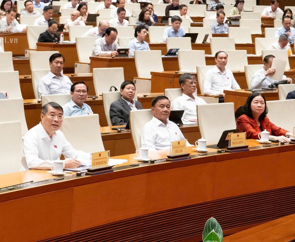 ĐBQH đề nghị kiểm soát chặt việc định giá đất và thu hồi phần đất còn lại của dự án