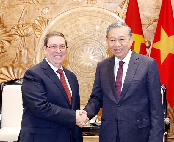 Tổng Bí thư tiếp Đặc phái viên Đảng, Nhà nước Cuba, Bộ trưởng Ngoại giao Cuba