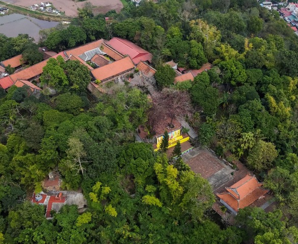 Ngôi chùa gần 1.000 năm tuổi trên đỉnh núi 'rồng' cao chưa đầy 100m nườm nượp khách đầu năm