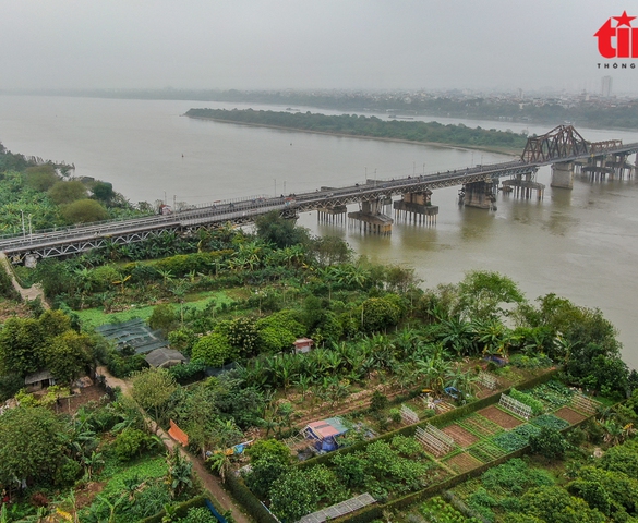 Quy chế hoạt động của Hội đồng thẩm định điều chỉnh quy hoạch vùng thời kỳ 2021 - 2030