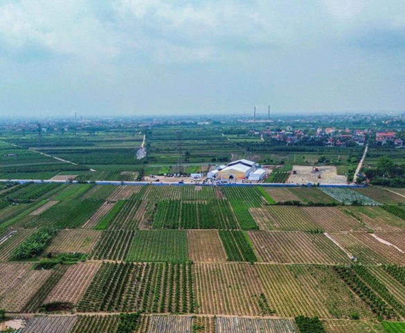 Hưng Yên thúc tiến độ giải phóng mặt bằng dự án Trump International