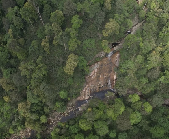 Việt Nam chính thức có thêm một vườn quốc gia mới, quy mô gần 19.000ha trải dài 3 xã