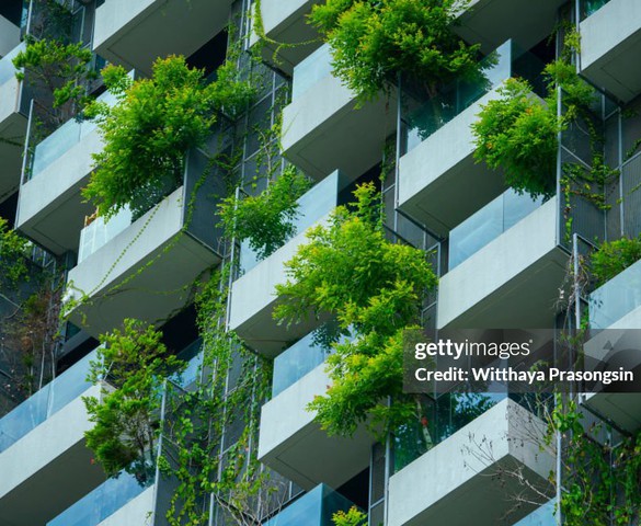 Nhu cầu 50 triệu nhà ở tại châu Phi và thách thức môi trường từ hoạt động xây dựng: Cần gỡ khó cho tài chính "xanh"