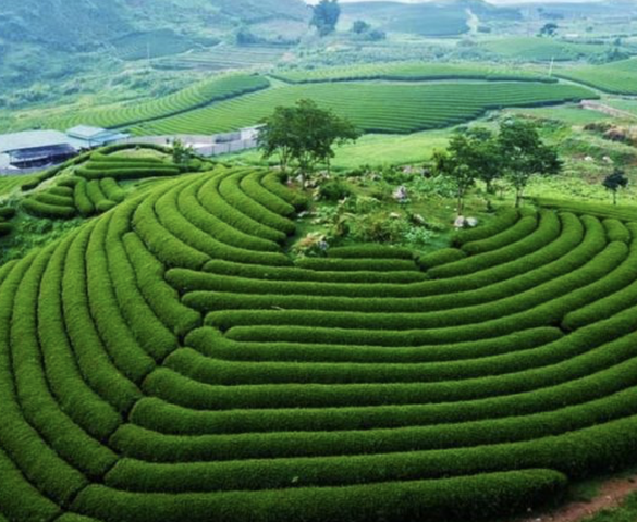 Việt Nam sắp có thêm khu du lịch quốc gia, quy mô hơn 200.000ha trải dài 12 xã phường tại tỉnh rộng nhất miền Bắc