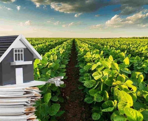 Từ nay, người dân được giảm tiền sử dụng đất khi chuyển đất nông nghiệp sang đất ở