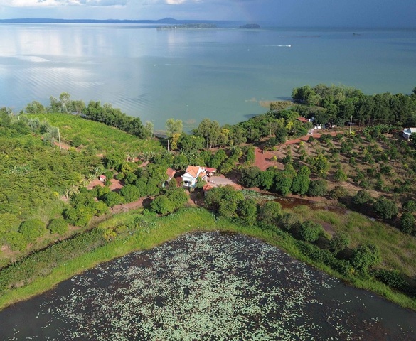 ‘Lá phổi xanh’ của Đông Nam Bộ sẽ trở thành trung tâm du lịch sinh thái, quy mô hơn 42.000ha