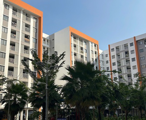 Kiện toàn Ban Chỉ đạo chính sách nhà ở và thị trường bất động sản cấp tỉnh trong quý II/2026