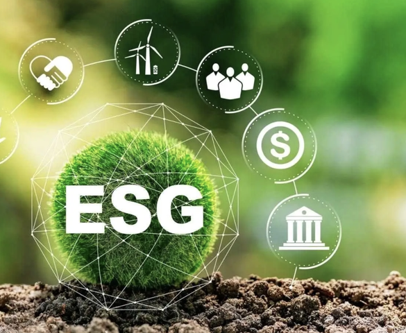 Lần đầu xây dựng khung tiêu chuẩn ESG, mở lối vốn ưu đãi cho dự án xanh