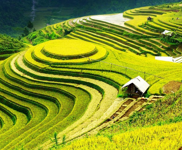 Việt Nam định vị một vùng kinh tế giữ vai trò kết nối Đông Nam Á với Trung Quốc, Trung Á và châu Âu