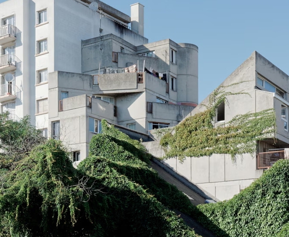 Vườn treo giữa tầng không: Kiến trúc “thô mộc sinh thái” phá vỡ mọi khuôn mẫu của KTS Renée Gailhoustet