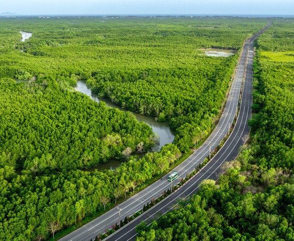 Vingroup đề xuất chi 19.000 tỷ lên đời tuyến độc đạo xuyên rừng ngập mặn kết nối siêu đô thị lấn biển với trung tâm TP giàu nhất nước